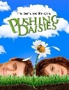 Pushing Daisies: The Complete First Season ѡ׺Ȩ  1 DVD 3  ()