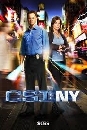  CSI New York Season 8 [] DVD 9 蹨