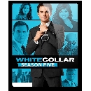 DVD  White Collar Season 5 [] մ 6 蹨