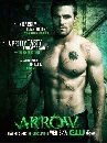 DVD  Arrow season 2 ⤵äҡ [subthai]  ѻ  8 蹨