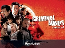 dvd  ҡ Criminal Minds 索Ҫҡ  6 dvd 6蹨