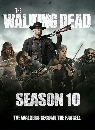 dvd The Walking Dead - Season 10 Ѵҡҹ dvd 4蹨 END