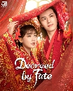 DVD ซีรีย์จีน  Decreed by Fate (2022) ท่านหญิง อย่าชิงหย่ากับข้า dvd 4 แผ่นจบ