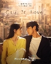DVD ซีรีย์เกาหลี : Call It Love (2023) (คิมยองกวัง + อีซองคยอง)  ซีรีย์เกาหลี ซับไทย dvd 4แผ่นจบ