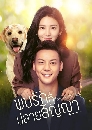 DVD ซีรีย์จีน : A Date With the Future (2023) พบรักที่ปลายสัญญา 6 แผ่นจบ